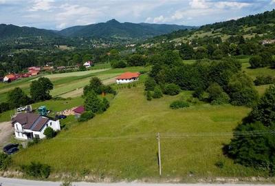 Teren intravilan de 5750 mp, în Ibănești - 4