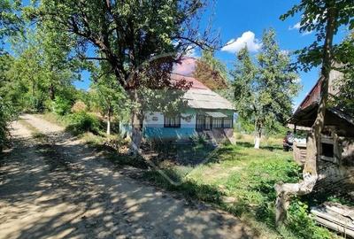 Casă cu 3 camere cu Teren 6000 Mp în Central