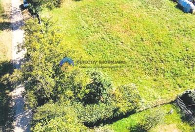 Teren agricol intravilan de 3260 mp, în Chintinici - 8