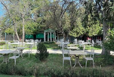 Casă cu 32 camere cu Teren 2500 Mp în Nord