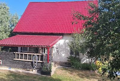 Casă cu Teren 3000 Mp în Borșa