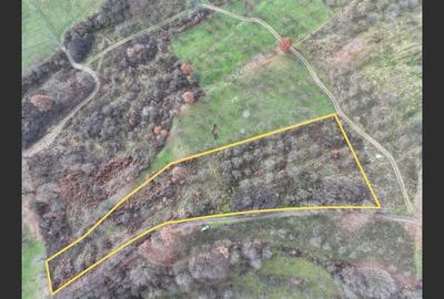 Teren Construcții intravilan de 5578 mp, în Groși - 2
