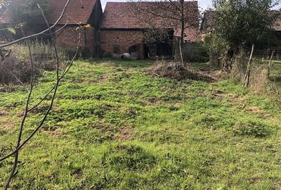 Casă cu 3 camere în Noua