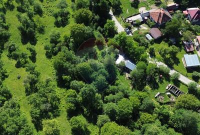 Teren agricol extravilan de 14489 mp, în Exterior Est - 16