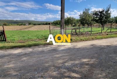 Teren Construcții intravilan de 4003 mp, în Periferie - 1