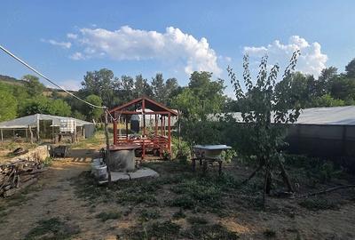 Teren de 2000 mp, în Puținei
