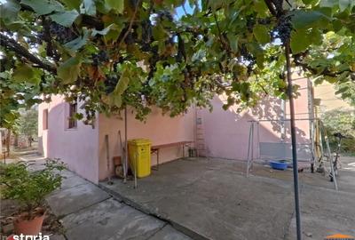 Casă cu 3 camere cu Teren 1180 Mp în Pârneava