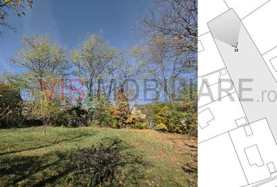 Teren intravilan de 3163 mp, în Brebu Mânăstirei - 15