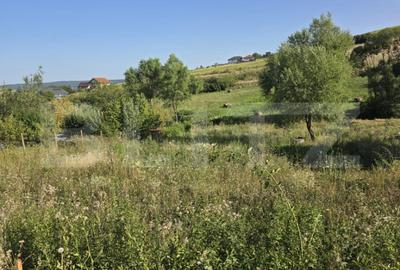 Teren de 1028 mp, în Sântana de Mureș