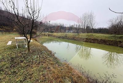 Casă cu 5 camere cu Teren 6117 Mp în Voislova - 4
