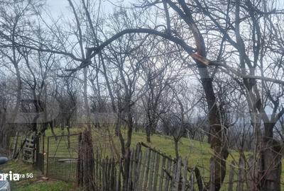 Teren de 3781 mp, în Izvoarele - 4