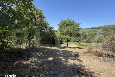 Teren de 1600 mp, în Grui