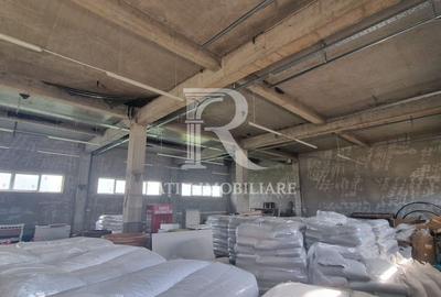 Spațiu industrial, de 450 mp, în Sântandrei