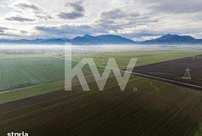 Teren de 16000 mp, în Hărmanului - 10