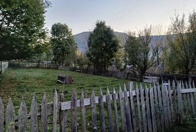 Teren de 366 mp, în Teșila - 1