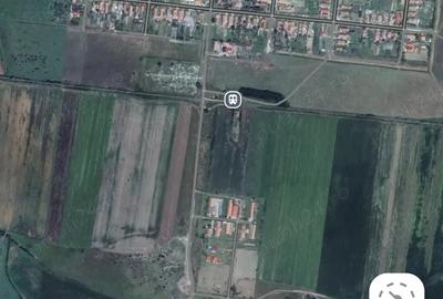 Teren de 5000 mp, în Bacova