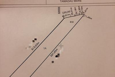 Teren de 46600 mp, în Tămădău Mare - 2