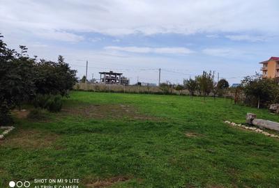 Casă cu 4 camere cu Canalizare în Costinești - 10