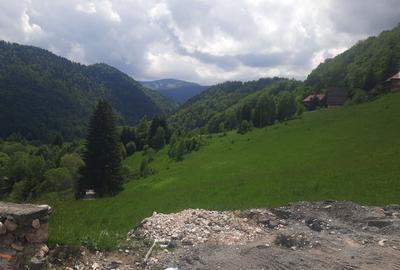 Spațiu comercial, în Dâmbovicioara - 11