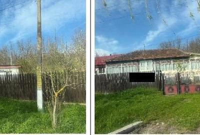 Casă cu 3 camere cu Teren 3633 Mp în Delești - 6