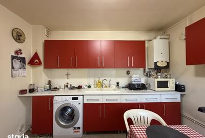 Teren de 706 mp, în Andronache - 13