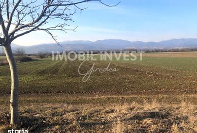 Teren de 8100 mp, în Alba