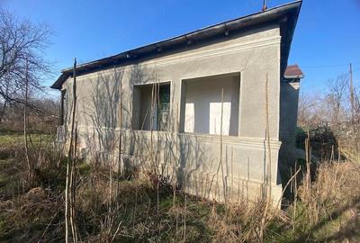 Casă cu 4 camere cu Teren 6097 Mp în Mânzu