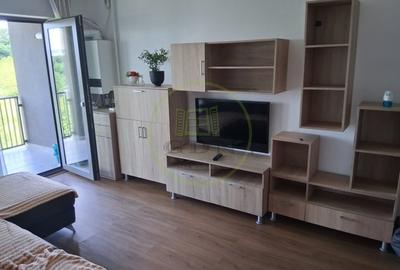Apartament cu 3 camere decomandat, mobilat în Mănăștur - 1