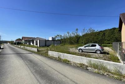 Casă cu 3 camere în Exterior Vest - 4