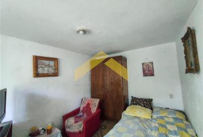 Casă individuală cu 2 camere cu Teren 600 Mp în Bodrogu Vechi - 4