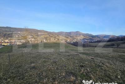 Teren de 16667 mp, în Abrud-Sat - 1