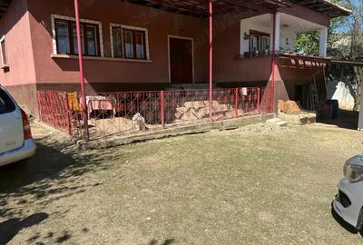 Casă cu 4 camere cu Teren 3200 Mp în Păltinișu - 10