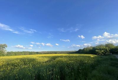 Teren de 7500 mp, în Ciolpani - 3