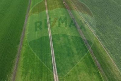Teren agricol extravilan de 60000 mp, în Săcele - 21