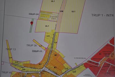 Teren de 8000 mp, în Șura Mică - 1