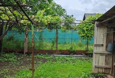 Teren de 3000 mp, în Plăieșu - 4
