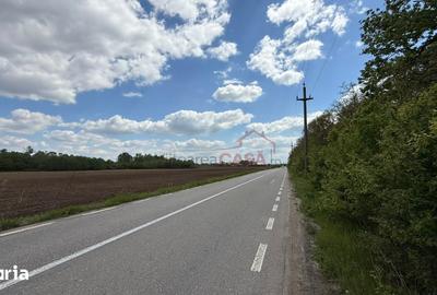 Teren de 5000 mp, în Găiseni