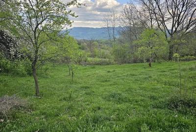 Teren de 949 mp, în Sălătrucel - 1