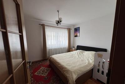 Apartament cu 2 camere decomandat, mobilat în Turnișor - 4