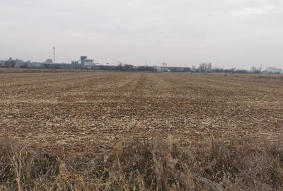 Teren Construcții intravilan de 4550 mp, în Ciolpani - 1