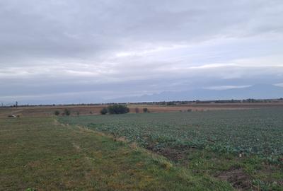 Teren agricol extravilan de 48100 mp, în Hălchiu - 6