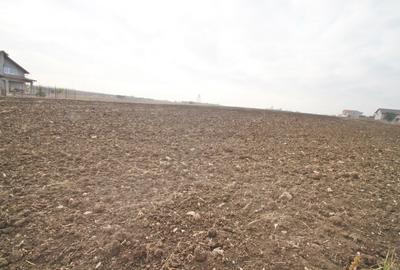 Teren Construcții intravilan de 17000 mp, în Lazu - 2