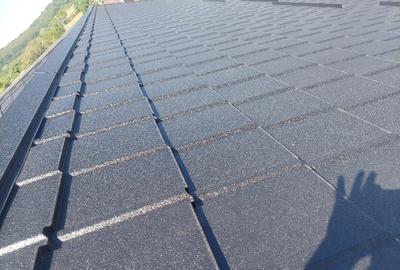 Casă cu 3 camere cu Teren 200000 Mp în Exterior Vest