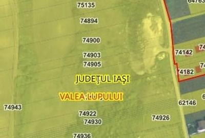 Teren intravilan de 2990 mp, în Valea Lupului