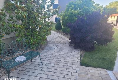 Casă cu 7 camere cu Teren 1020 Mp în Micălaca - 2