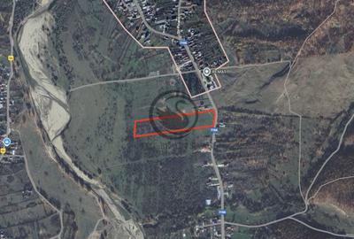 Teren Construcții intravilan de 26908 mp, în Iedera de Jos - 4