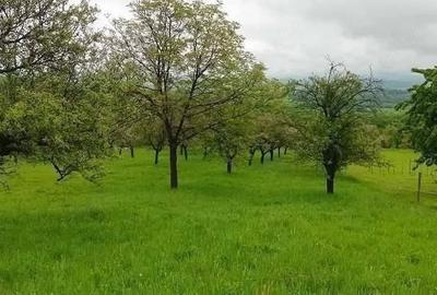 Teren de 57 mp, în Satu Nou de Sus - 1