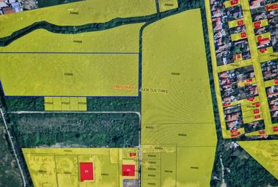 Teren de 62746 mp, în Plopi - 1