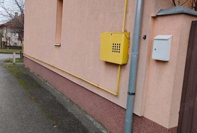Casă cu 3 camere în Elisabetin - 1