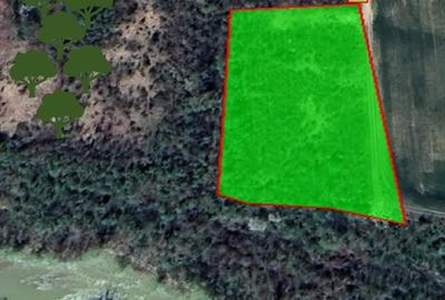 Teren Construcții intravilan de 6700 mp, în Ciolpani